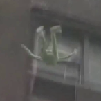 snipper3333's Avatar'