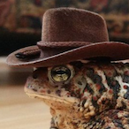 DevilToad_'s Avatar'