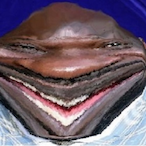 BigMoist36's Avatar'