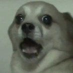 lIlIIIIllllIIlI's Avatar'