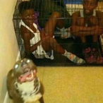 WestonThreeDogs's Avatar'