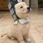 Garbageman5893's Avatar'