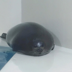 Technofied2's Avatar