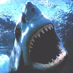 sharkman.ru's Avatar