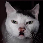 bigstruvz99's Avatar'