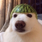 Shedrich_'s Avatar'