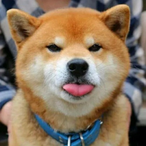 xIyxss's Avatar'