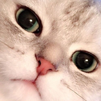 CHA_SERIN's Avatar'