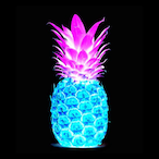 neon_pineapple's Avatar'