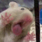 Moosenrollr's Avatar'