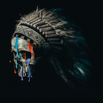 FGallerani's Avatar'