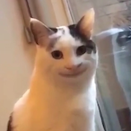 bananacookiee's Avatar'