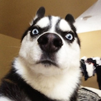 zJese's Avatar'