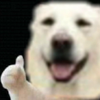 paizuriplz's Avatar'