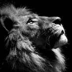 huntxxr.FA's Avatar'