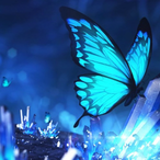 mochandayo's Avatar'