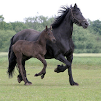 Mel-atonin.'s Avatar'