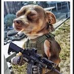 ThyHawkeye's Avatar'