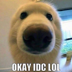 TooBadForRad's Avatar'