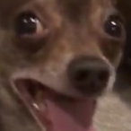 peterx88's Avatar'