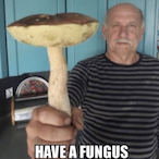 NotLazySpace's Avatar'