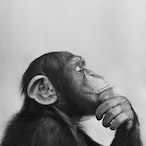 The18thFret's Avatar