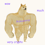 Holberg_Co's Avatar'