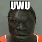 WasabiBoby's Avatar'