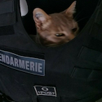 TangoEcho25's Avatar'