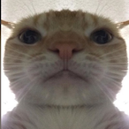 im so h0orni's Avatar'