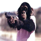 Pistol-Monke's Avatar'