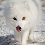 Avoidbank-'s Avatar'