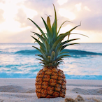 WantAPineapple's Avatar'