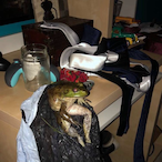 Mo-jo.jojo's Avatar'