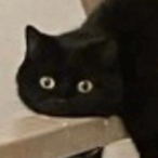 DragunovXQ's Avatar'