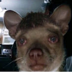 Tourmalinee's Avatar'