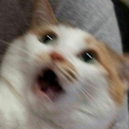 CallMeGee2960's Avatar'