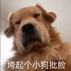 Luckyboy-chou's Avatar'
