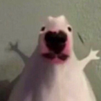 NuclearFog's Avatar'