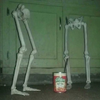 Mr Reschke's Avatar'