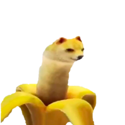 n1ce_335