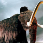 OLD_Mammoth's Avatar'