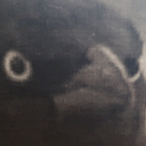 tadd_15's Avatar'