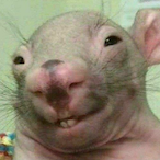 SnapCybis2's Avatar'