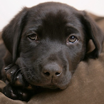 whatssofunnym8's Avatar'