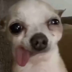 Isaago_'s Avatar'