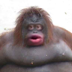 Pepe990055's Avatar'