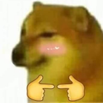 WHURWIND's Avatar'