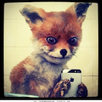 vtxnl's Avatar'