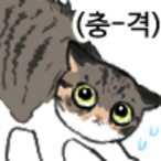 ghostko1215's Avatar'